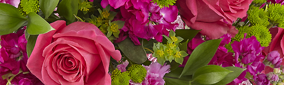 Save 20% on all Fresh Flower Purchases