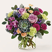 R5559 - Botanical Dream R5559 - Botanical Dream